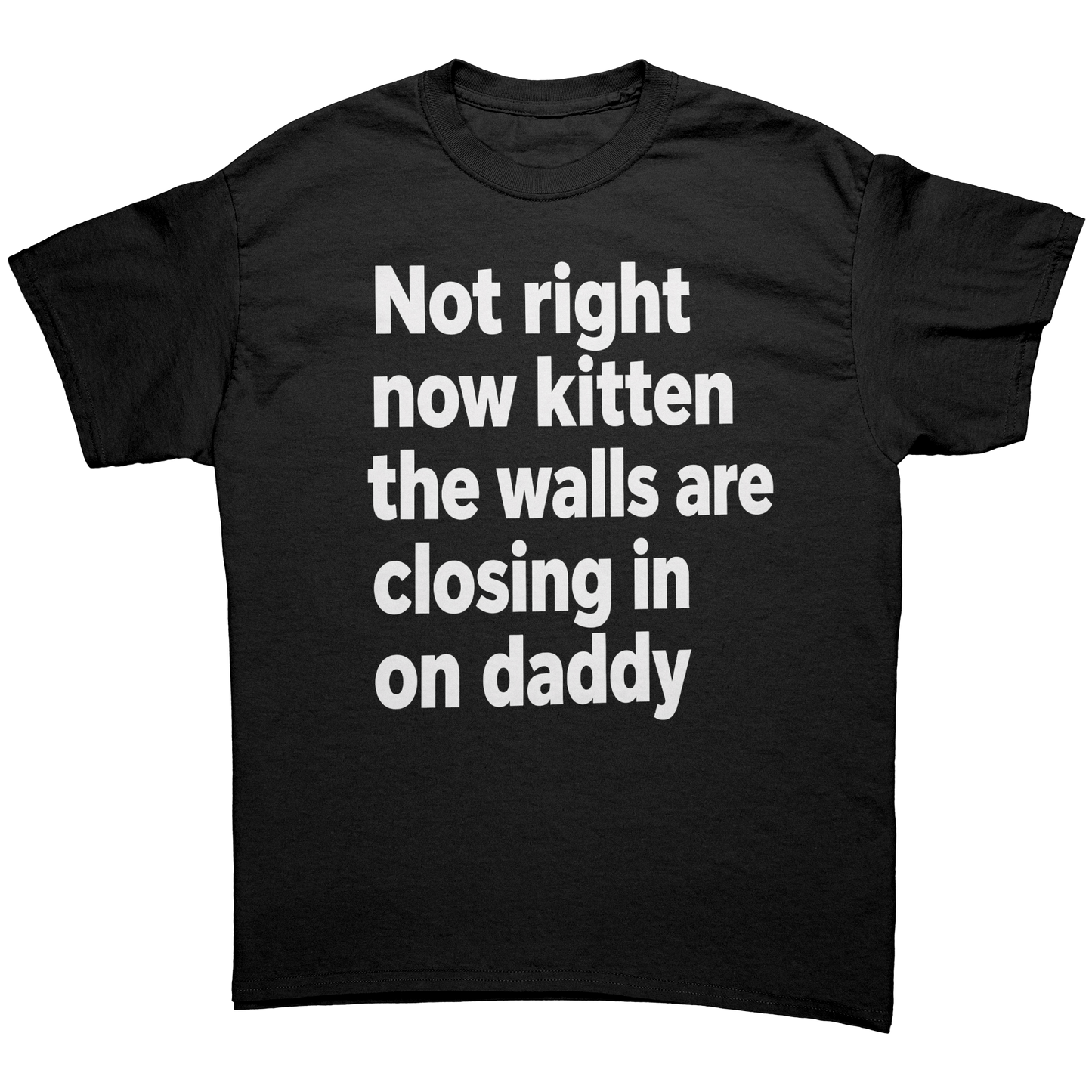 Not right now kitten the walls are closing in on daddy T-Shirt
