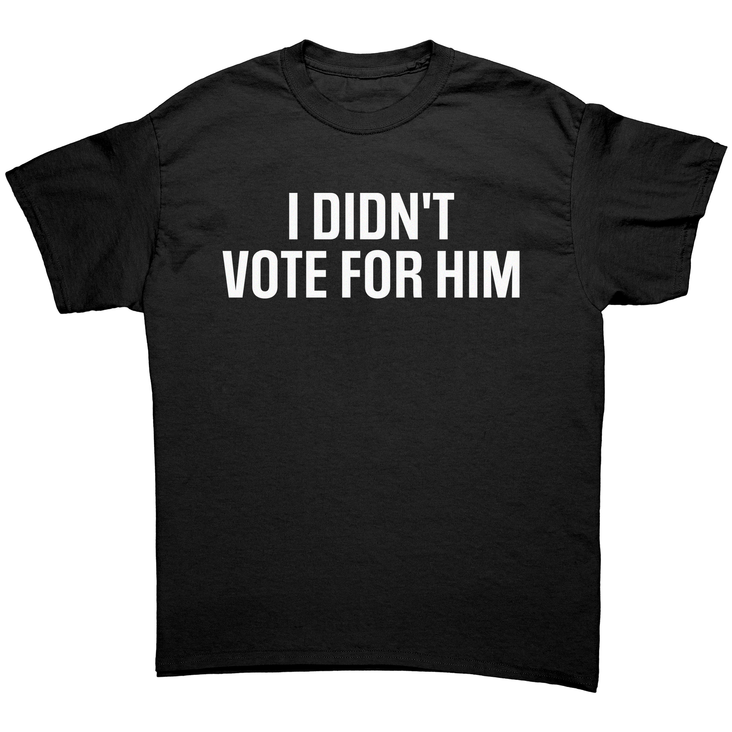 I DIDN'T VOTE FOR HIM