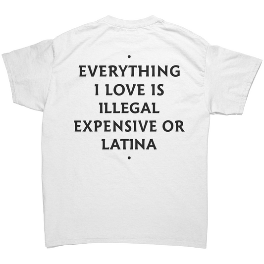 EVERYTHING I LOVE IS ILLEGAL EXPENSIVE OR LATINA UNISEX SHIRT