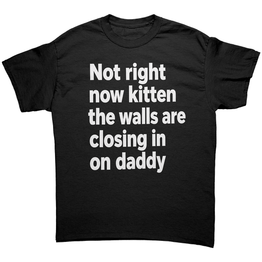 Not right now kitten the walls are closing in on daddy T-Shirt